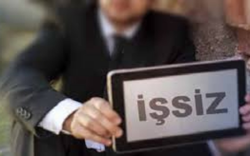 Her 3 işsizden biri Üniversite Mezunu 
