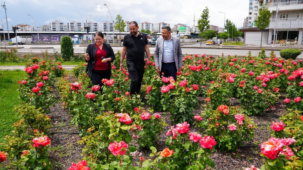 Eş Başkan Ayaz, gül bahçesini ziyaret etti 