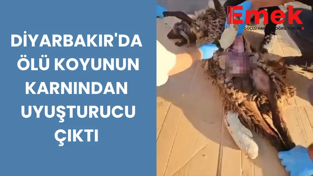 Diyarbakır